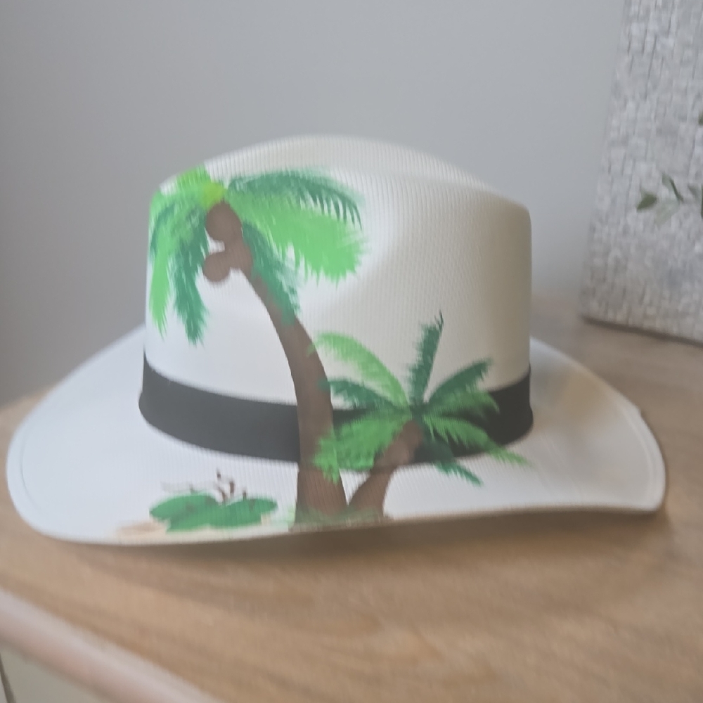 Hand Painted Panama Style Hat Authentic Artisan Hat Made In Colombia